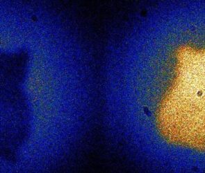 Bizarre and Crazy Things