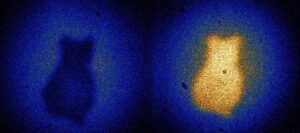 Bizarre and Crazy Things