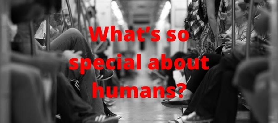 Wow, Life’s Most Amazing Moments!