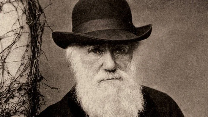 Exploring Darwinisms