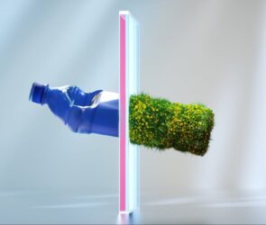 Don’t Be Greenwashed: See Through and Save the Planet