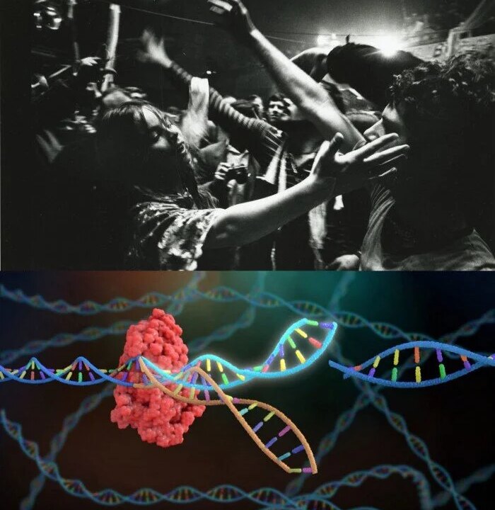 Stewart Brand’s Biotech Revolution