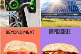 Green Options Now Cheaper Than Harmful Ones