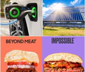 Green Options Now Cheaper Than Harmful Ones