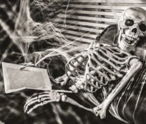 Author's Death to Renaissance