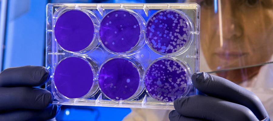 Trust or Doubt Science?