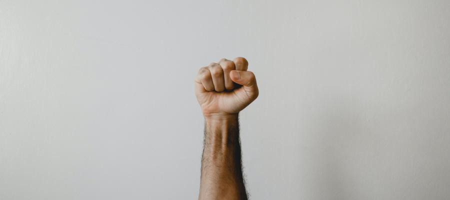 Political vs. Economic: Inequality Decoder