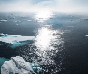 Balancing Skepticism and Trust in Science