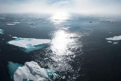 Balancing Skepticism and Trust in Science