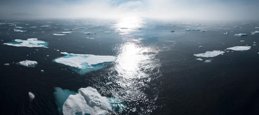 Balancing Skepticism and Trust in Science