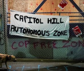 Anarchy's Rise: The Anarchist Movement