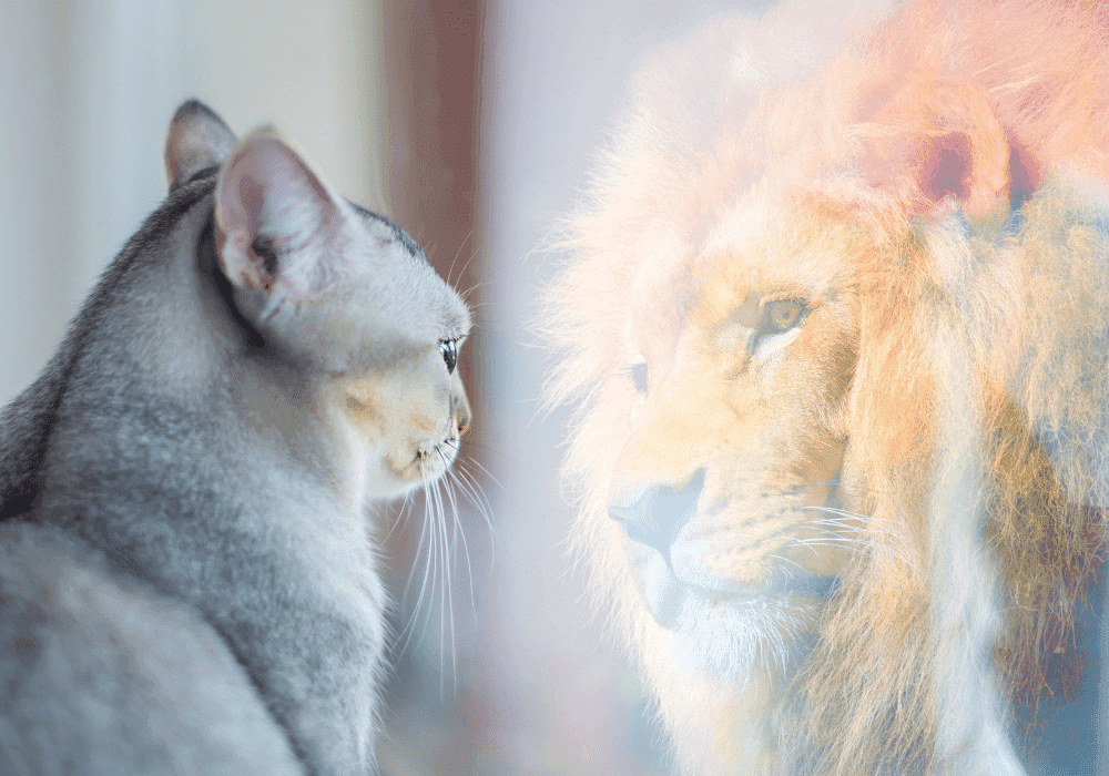 You’re Not Broken—Just Offline