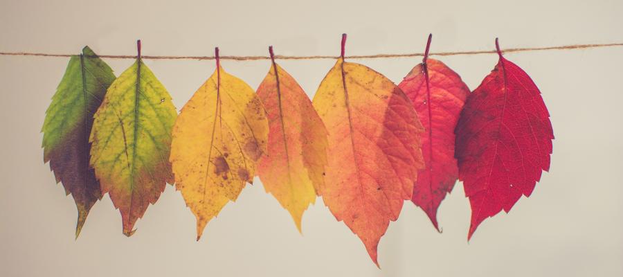 What Tomorrow Brings Us