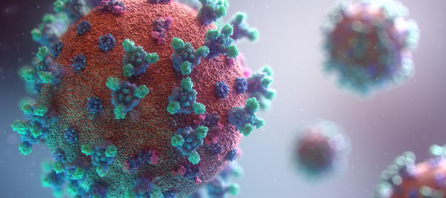 Surging Toxic Xenophobia