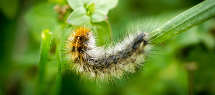 Reinvent Your Core Self