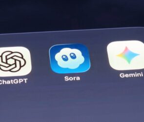 Sora Update: AI Pet Videos & Social Features
