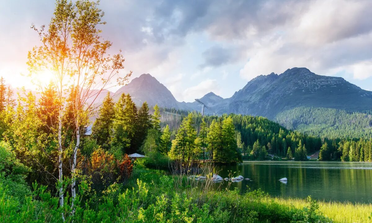 Nature's Hidden Beauty Revealed