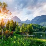 Nature's Hidden Beauty Revealed