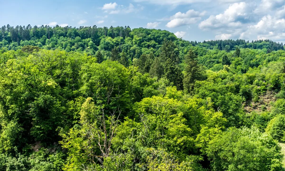 Climate Crisis Demands Clear Thinking