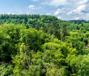 Climate Crisis Demands Clear Thinking