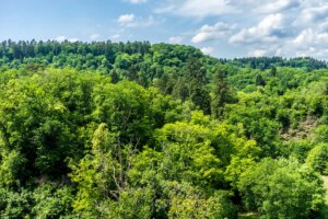 Climate Crisis Demands Clear Thinking