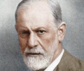 Wild Animal Dating Showdown