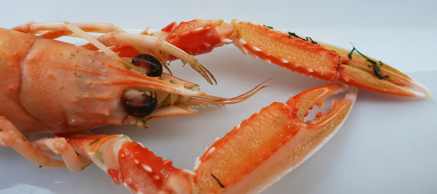 Lobster Love Affair Gone Wild