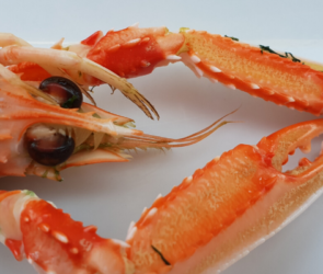 Lobster Life Lessons