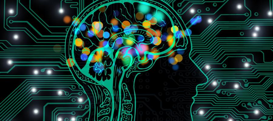 Hack Your Senses Now