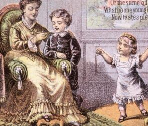 Elevate Your Taste Experience