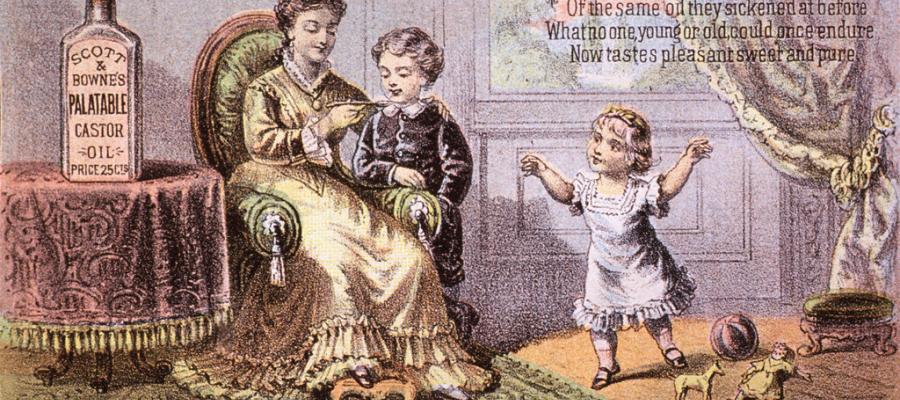 Elevate Your Taste Experience