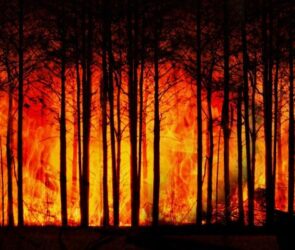 Climate Change Denial Controversy