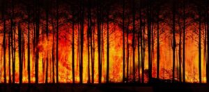 Climate Change Denial Controversy