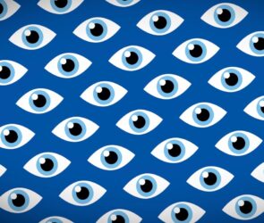 Spyware Firm Accessed Government Espionage Targets