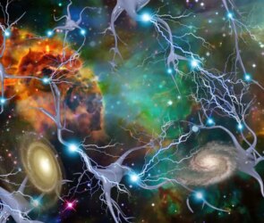 Mind Body Problem Debated