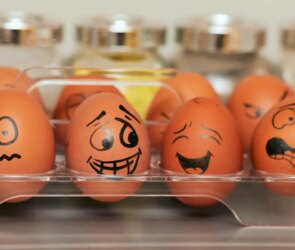 Science of Laughter Explained Simply