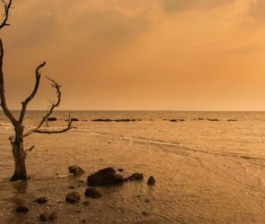 Sartrean Existentialism Defined