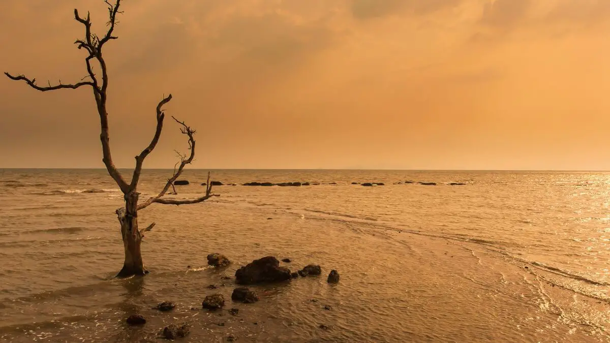 Sartrean Existentialism Defined