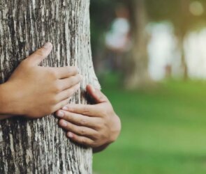 Ethical Investing: Meaning, Impact & Returns