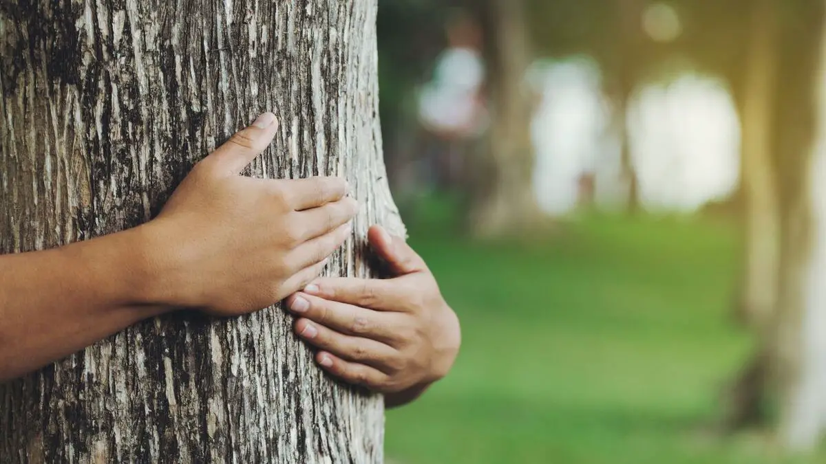 Ethical Investing: Meaning, Impact & Returns