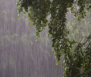 Unlock Your Necessary Human Flaws