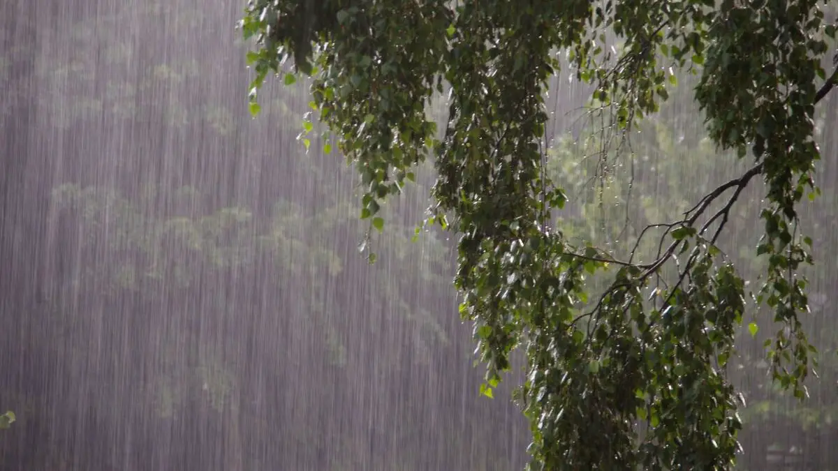 Unlock Your Necessary Human Flaws