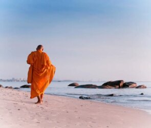 Buddhists as Social Activists