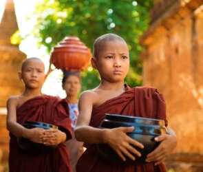 Buddhists in Social Justice: Profiles