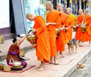 Buddhism and Social Action: Engaged Practice