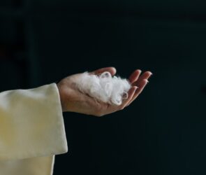 AI Turns Chicken Feathers Into Cashmere