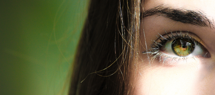 Rejecting Dehumanization: A New Thesis