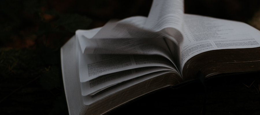 Dark Knowledge Explained?