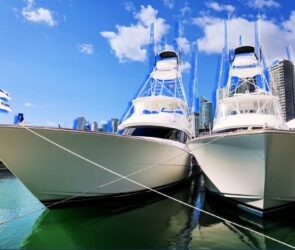 Partial Fortune Flips Into Massive Success