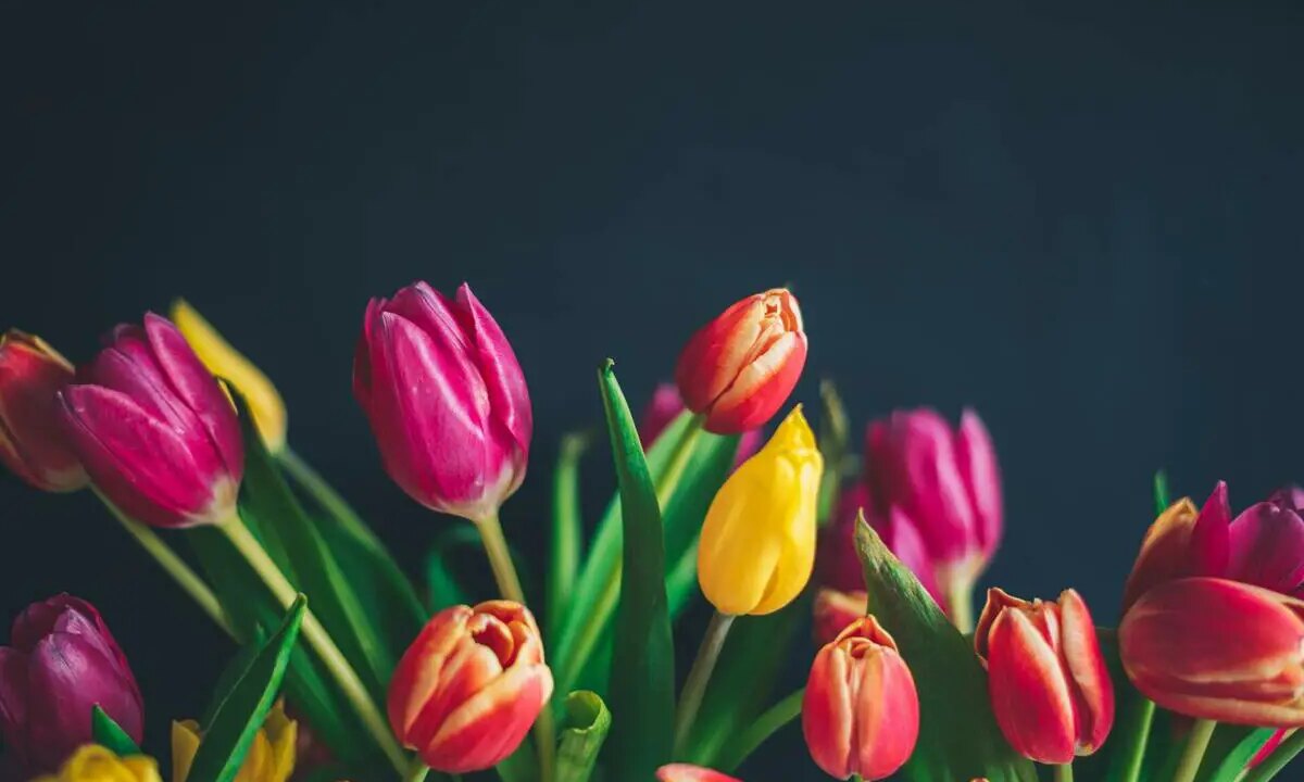 Is Your Thinking Irrational?